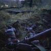 rzr_013