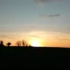 ella_23529