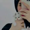 hadegjfgvhvbv1