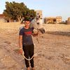 user82321115517215