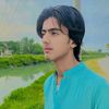 abidkhanf0