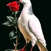 user749411093182