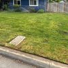lozanos.lawn.sev