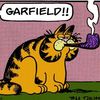 garf35923