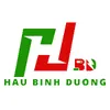 npphaubinhduong