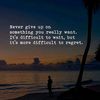 rawtruth64