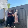 haje.sabah2