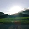 ppaappaa_mmooblue