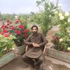 tayab.khan210