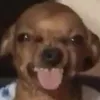 aloveriki