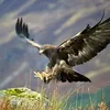 anouar.rhajdi