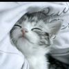 afiqadam12345