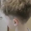 leonitedi