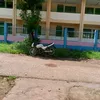 janrelhabonita