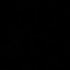 pes48n