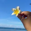 dstybluee