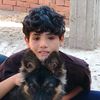 abrhem.kamel