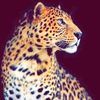 maram.maryouma5
