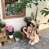 连蜜呀