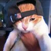 terzz_yapping
