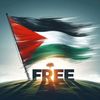 free.palestine0031