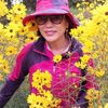 user3307681521224