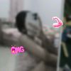 _axnzwx