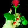 mm.yy0427