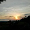 bos_renz