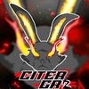 citergr2a_tzy