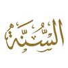 sunna__din