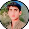 shahid.gurgaje