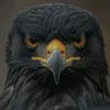 m3alamtaha