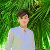 alihasn871