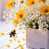 freeonlinework24