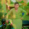user313790808