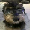 quiroga_alejandro