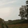 vita8504102046186