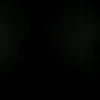 davzz_1604