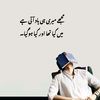 shakeel.jani672