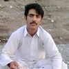 dildarshaheen0