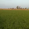 user77314436158545
