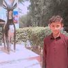 rana.haider3152