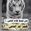 user6532958104188