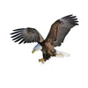 eagleafri