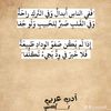 user29504932398075