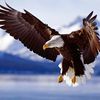 .nours7