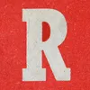 00_roney_00