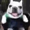 iamwahoo