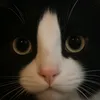 childe_1008